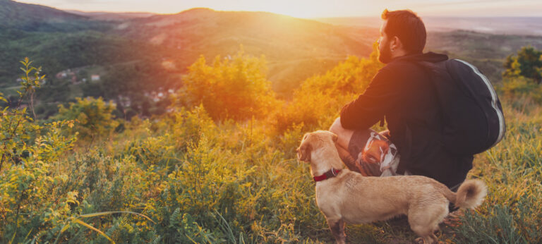hiking with dog image